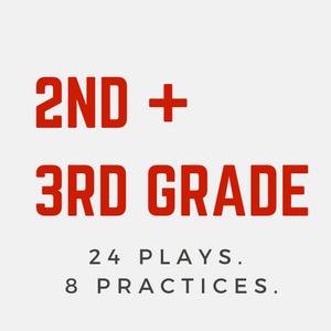 Coach D's All-Ages Playbook Bundle (24 Plays + 8 Practices per age group)